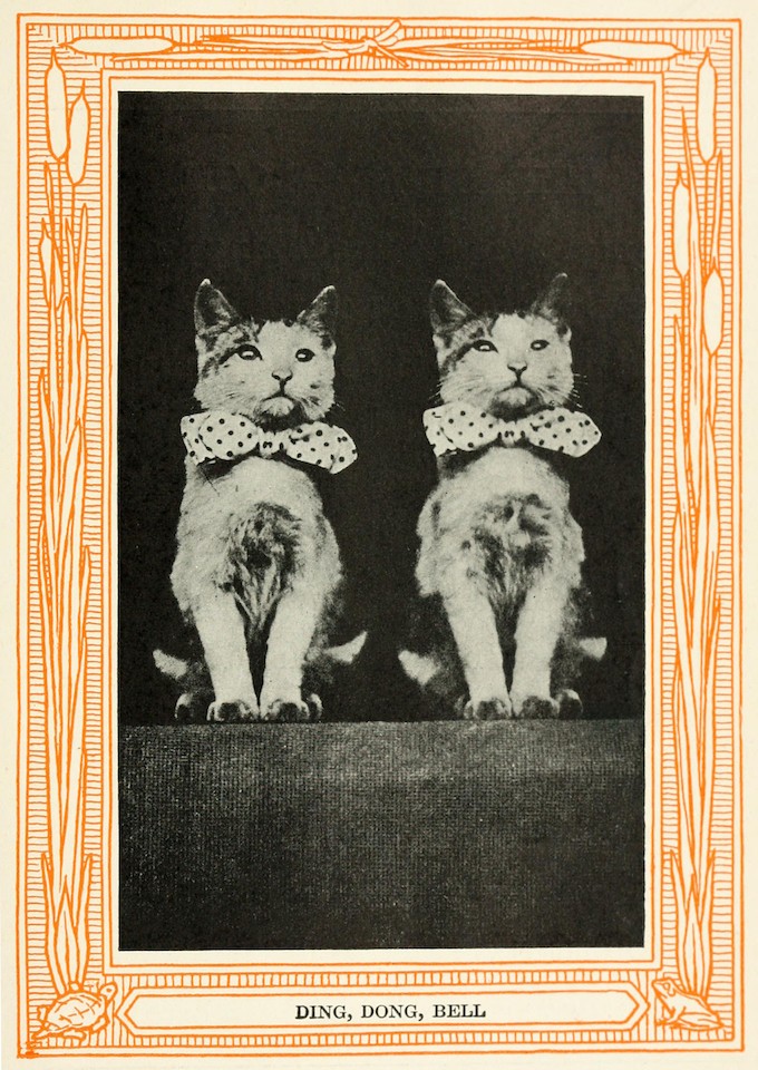 Cover image for AI Conformity Assessment